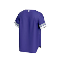 High Point Panthers GameDay Greats Baseball Jersey - Purple