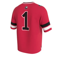 Northern Illinois Huskies GameDay Greats Lightweight Collegiate Football Fashion Jersey - Cardinal