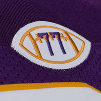 Minnesota Vikings Cris Carter Mitchell & Ness Purple 2001 Authentic Throwback Jersey