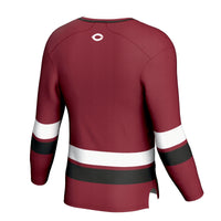 UChicago Maroons GameDay Greats Spirit Hockey Jersey - Maroon