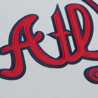 Atlanta Braves Fred McGriff Mitchell & Ness Gray 1995 Throwback Authentic Jersey