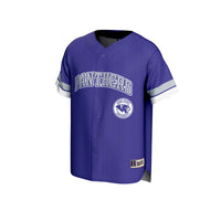 High Point Panthers GameDay Greats Baseball Jersey - Purple