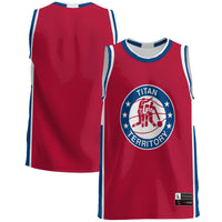Detroit Mercy Titans GameDay Greats Lightweight Basketball Jersey - Blue