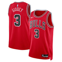 Chicago Bulls Nike Icon Swingman Jersey - Giddey 3