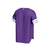 Furman Paladins GameDay Greats Spirit Baseball Jersey - Purple
