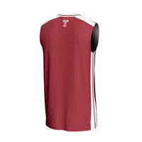 Temple Owls GameDay Greats Basketball Jersey - Red