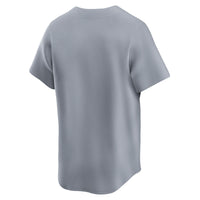Brooklyn Dodgers Nike Gray Cooperstown Collection Limited Jersey