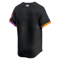 San Francisco Giants Nike Anthracite 2025 City Connect Limited Jersey