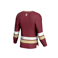 Charleston Cougars GameDay Greats Spirit Hockey Jersey - Maroon