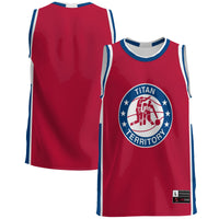 Detroit Mercy Titans GameDay Greats Lightweight Basketball Jersey - Blue