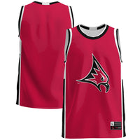 Wisconsin-River Falls Falcons GameDay Greats Lightweight Basketball Jersey - Red
