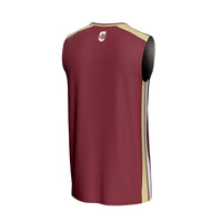 Charleston Cougars GameDay Greats Spirit Basketball Jersey - Maroon