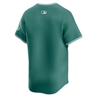 Boston Red Sox Nike Green City Connect Limited Jersey