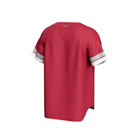 Saint Joseph's Hawks GameDay Greats Spirit Baseball Jersey - Crimson
