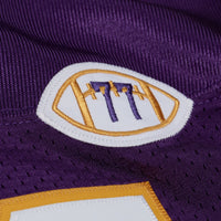 Minnesota Vikings Randy Moss Mitchell & Ness Purple 2001 Authentic Throwback Jersey