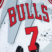 Chicago Bulls Mitchell & Ness Toni Kukoc 1995-96 Hyper Hoops Swingman Jersey - White