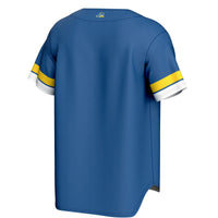 Delaware Fightin' Blue Hens GameDay Greats Spirit Baseball Jersey - Royal