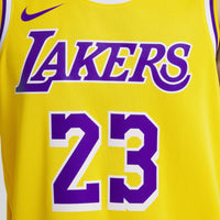 Los Angeles Lakers Nike Icon Swingman Jersey - Lebron James