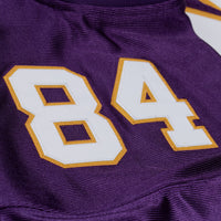 Minnesota Vikings Randy Moss Mitchell & Ness Purple 2001 Authentic Throwback Jersey