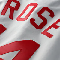 Cincinnati Reds Pete Rose Mitchell & Ness Gray 1976 Authentic Jersey