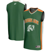 Florida A&M Rattlers GameDay Greats Spirit Basketball Jersey - Green