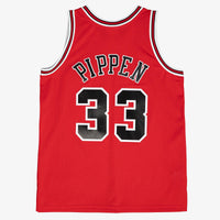 Chicago Bulls Mitchell & Ness Alternate Jersey -