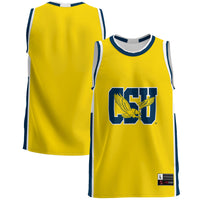 Coppin State Eagles GameDay Greats Lightweight Basketball Jersey - Blue