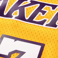 Los Angeles Lakers NBA Mitchell & Ness Swingman Jersey - Lamar Odom