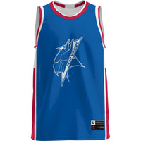 Elizabeth City State University Vikings GameDay Greats Lightweight Basketball Jersey - Royal